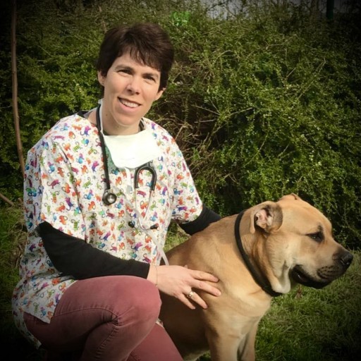 Docteur Marie Hestin-Wehner